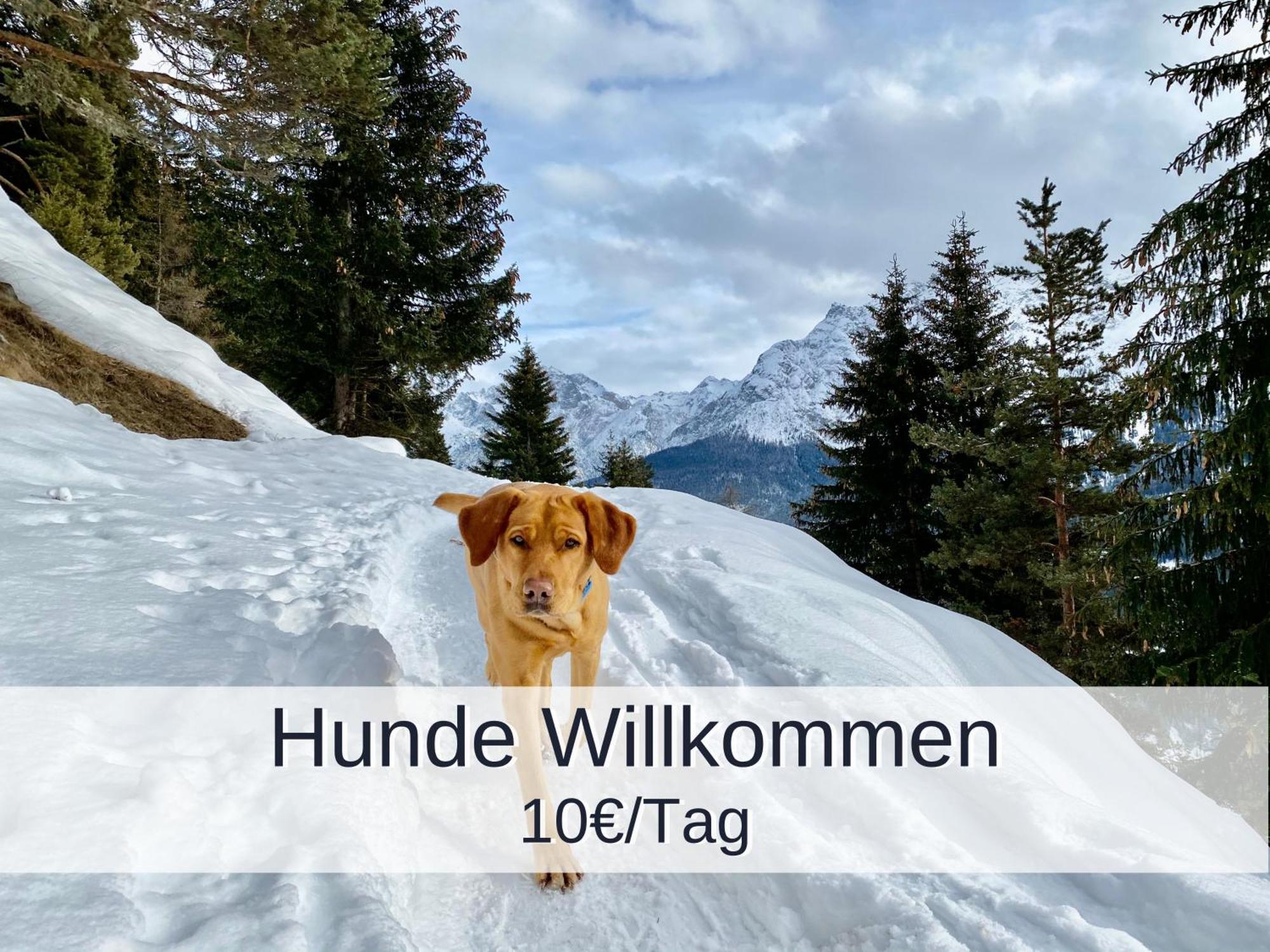 Ferienwohnung Rambold Sonnenterrasse Garmisch-Partenkirchen Dış mekan fotoğraf